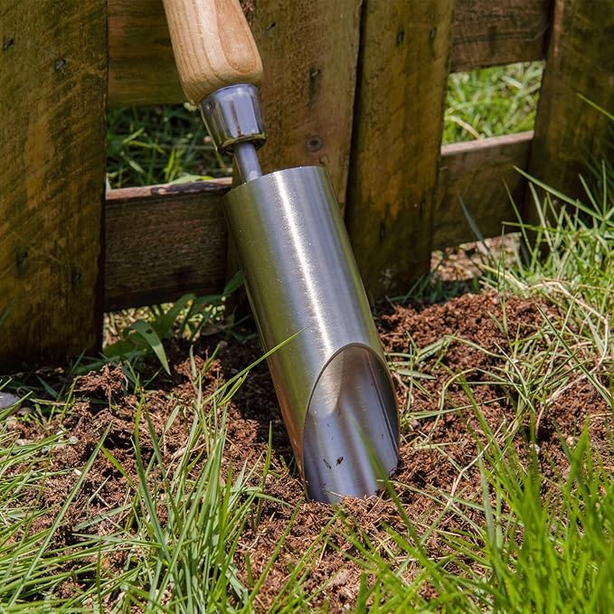 Berry&Bird Bulb Planter Tool, 12" Garden Bulb Transplanter Tool, Stainless Steel Manual Hole Digger with Wooden Handle, Transplanting Agricultural Dibble Tool for Seed Planting & Flower Planter