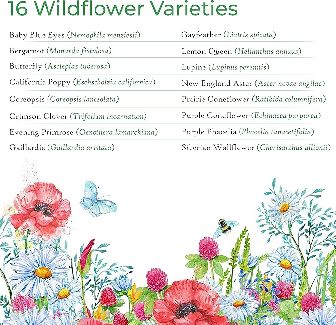 Bee and Butterfly Wildflower Seed Mix, Covers 325 Sq Ft, 16 Flower Varieties, Over 30,000 Seeds - Created By Nature