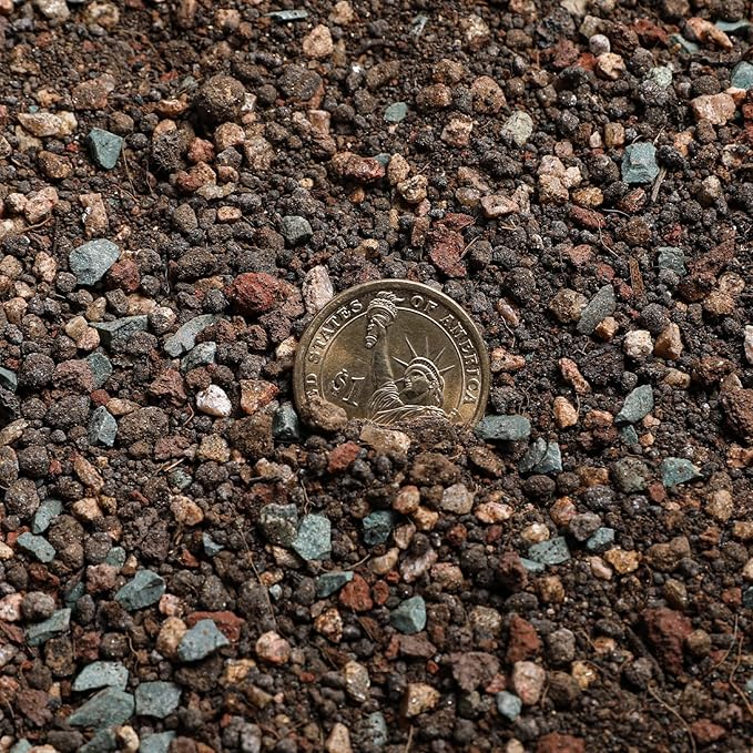 Succulent and Cactus Soil Potting Mix 5.5 LBS, Bonsai Soil Mix Ready to Use, Fast Draining with Added Nutrients