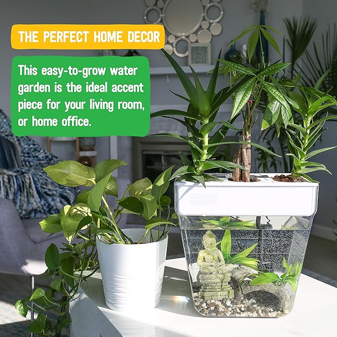 Back to the Roots Indoor Hydroponic Garden - 3 Gallon Self Watering, Mess-Free Planter for Herbs, Microgreens, Bamboo, Succulents, and Houseplants, Green