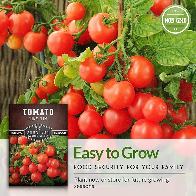 Survival Garden Seeds - Tiny Tim Tomato Seeds for Planting - 2 Packs with Instructions to Grow in Your Home Vegetable Garden - Non-GMO Heirloom Variety