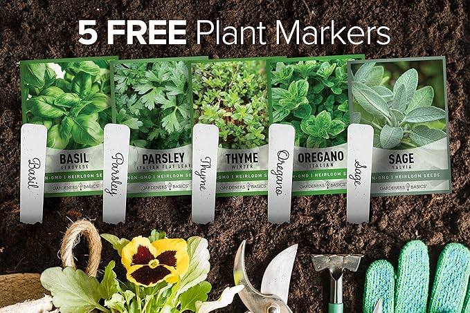 Gardeners Basics, Italian Herb Seeds for Planting 5 Variety Herbs Seed Packets Including Italian Flat Leaf Parsley, Sage, Oregano, Thyme, Basil - Great for Kitchen Herb Garden, Hydroponics Heirloom