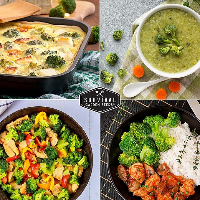 Waltham 29 Broccoli Seed for Planting - Packet with Instructions to Plant & Grow Cool Weather Broccoli in Your Home Vegetable Garden - Non-GMO Heirloom Variety - Survival Garden Seeds - 2 Pack