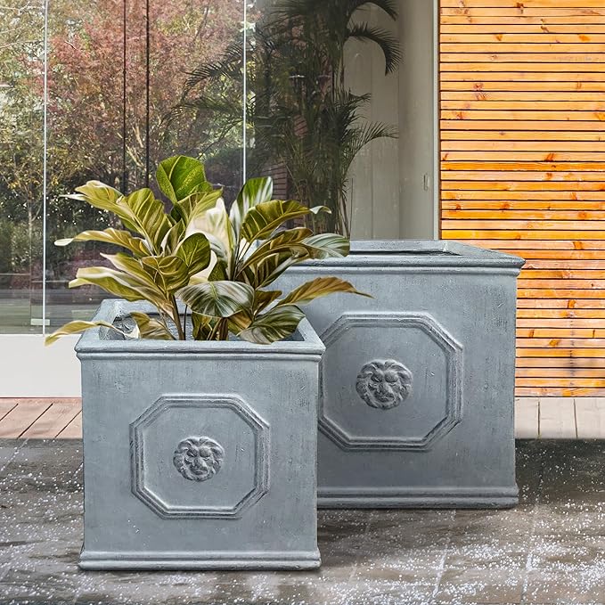 Kante Square Lion Head Concrete Planter Set of 2, Classic English Style Plant Pot with Drainage Hole and Rubber Plug for Indoor Outdoor, 10.2"x10.2"x10.2" and 12.6"x12.6"x12.6" Antique Gray