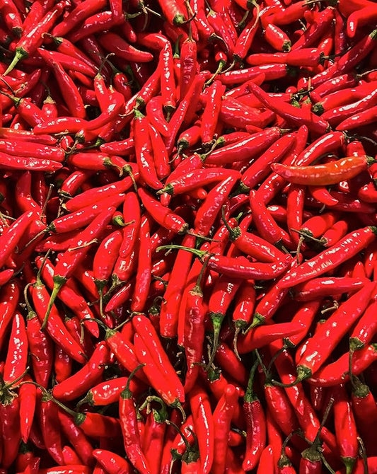 “Bird's Eye” Thai Hot Pepper Seeds – Traditional Thai Bird's Chili Pepper – Harvest Small, Red, Spicy Peppers in 75 Days | Compact Plants | Always OP | USA Grown Heirloom Seeds by Liliana's Garden |