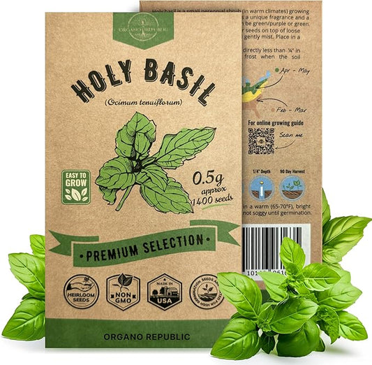 Holy Basil Seeds Pack 0.5 G - Over 1,400 Non-GMO Heirloom Basil Seeds for Planting Herbs in Individual Seed Packet, Herbs Seeds for Planting Home Garden Indoor & Outdoor Gardening