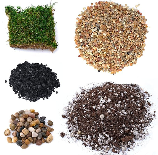 Succulent Planter Kit - Terrarium Kit with Succulent Soil, Gravel, Pebble, Moss,