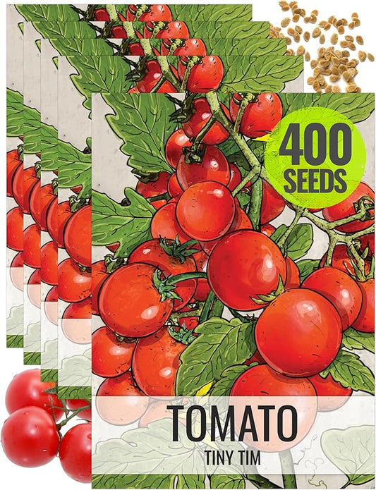Seed Needs Tiny Tim Tomato Seeds for Planting - Non-GMO, Heirloom & Untreated - Organically Grow an Outdoor Vegetable Garden - Dwarf Plants Produce Cherry Tomatoes (5 Packs)