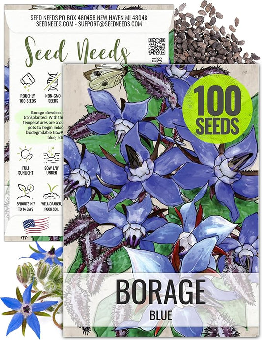Seed Needs, Blue Borage Herb Seeds for Planting (Borago officinalis) Heirloom, Non-GMO & Untreated, Edible Flowers (1 Pack)