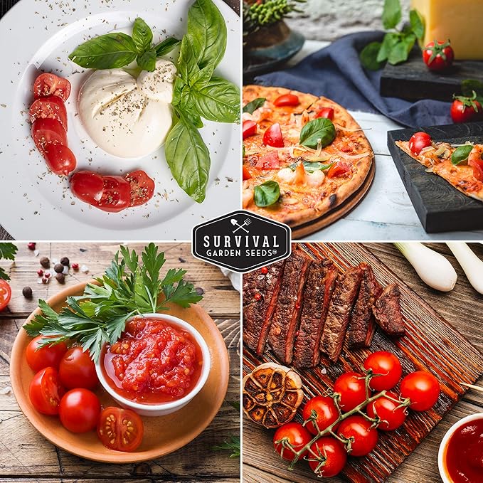 Survival Garden Seeds - Tiny Tim Tomato Seeds for Planting - 3 Packs with Instructions to Grow in Your Home Vegetable Garden - Non-GMO Heirloom Variety