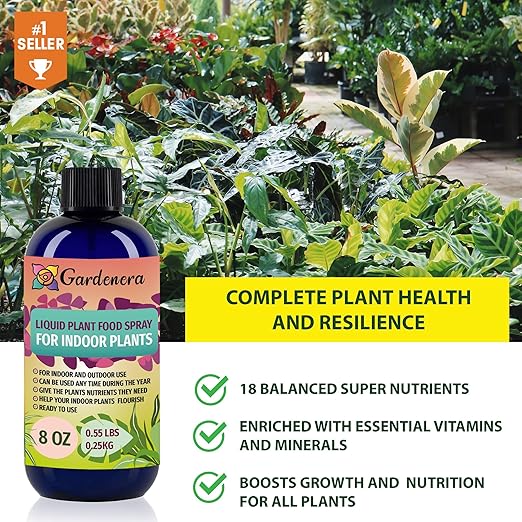 Plant Growth Superfood for Begonia with 18 Essential Vitamins & Minerals - Organic Plant Food Fertilizer - Micro-Fungi and Bio-Organisms for Begonia Plant Care & Growth Enhancement - 32oz