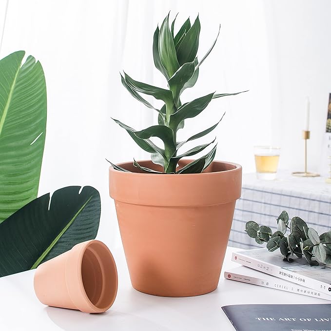 OLEEP Clay Pot - 12 Pack Large Terra Cotta Plant Pot with Drainage Hole, Clay Planters Pot, Terracotta Pot for Indoor Outdoor Plant (4.7 inch)