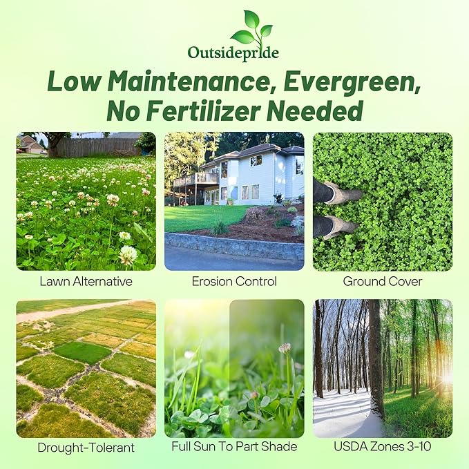 Outsidepride Perennial White Dutch Clover Seed - 40 lbs. Nitrocoated, Inoculated Clover Seeds for Lawn Alternative, Erosion Control, Food Plots, Ground Cover, & Pasture Mixtures in USDA Zones 3-10