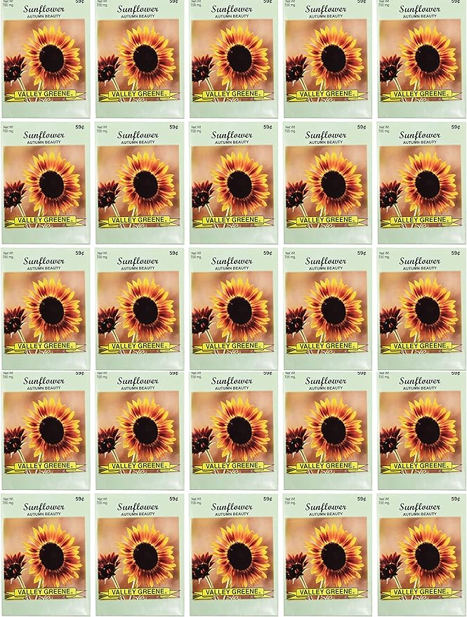 Black Duck Brand Set of 25 Autumn Beauty Sunflower Seed Packets! Flower Seeds in Bulk - Great for Creating The Garden of Your Dreams! (25, Autumn Beauty Sunflower)