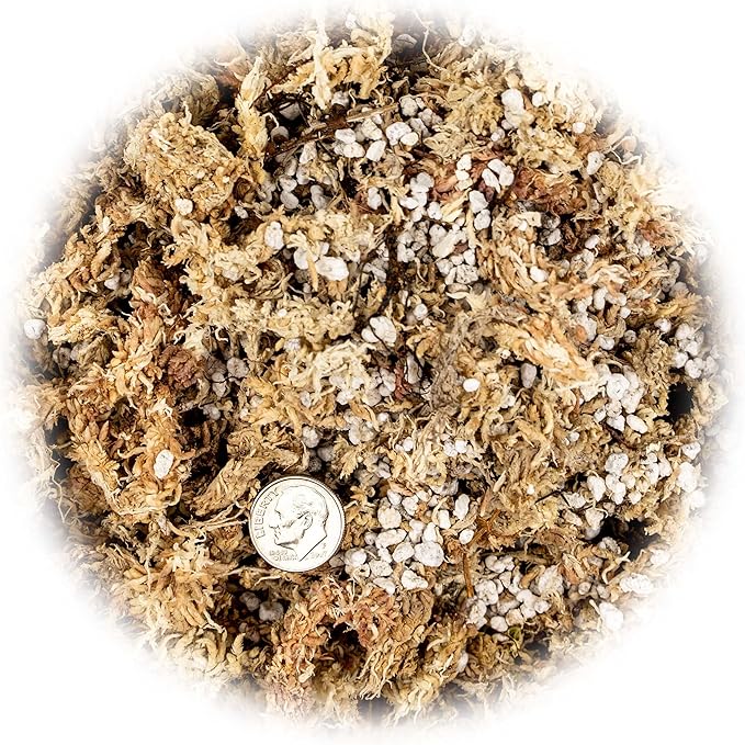 Sphagnum Moss Potting Mix for Carnivorous Plants, Moss and Perlite Blend for Potting Venus Fly Traps, Sarracenia, Pitcher Plants - 75% Sphagnum Moss + 25% Perlite - Made in USA - 1 Quart