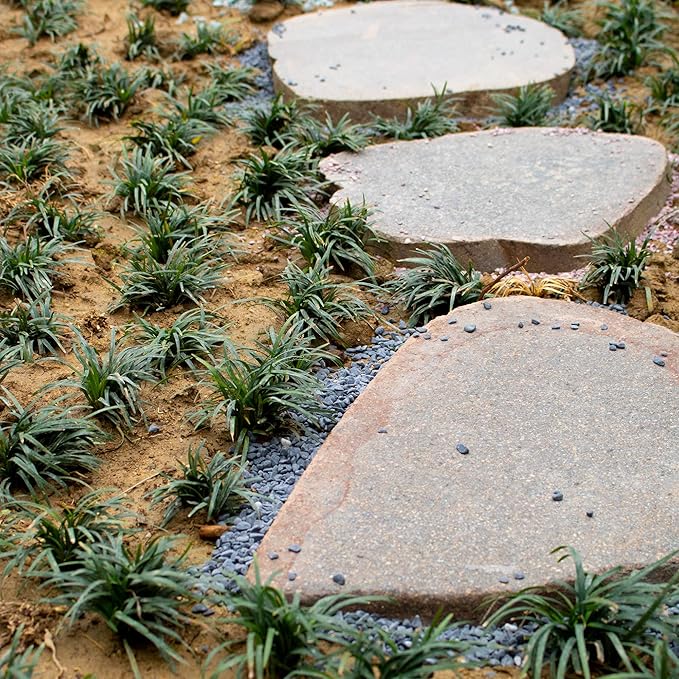 Anothera Stones for Plants Smooth Natural Black River Rocks,7LB Plant Aquarium Gravel Stones for Succulents Bonsai Terrarium Vase Fillers Fish Tank Indoor Outdoor Garden Decor(6-9 mm)