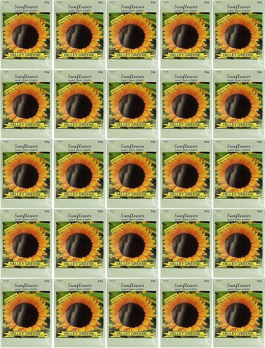 Black Duck Brand Set of 25 Sunflower Giant Grey Flower Seed Packets! Flower Seeds in Bulk - Great for Creating The Garden of Your Dreams! (25, Sunflower - Giant Gray Stripe)