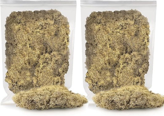 Premium Preserved Reindeer Moss for Potted Plants, Terrariums, Fairy Gardens, Arts and Crafts or Floral Decor Design in Natural (10 Quart)