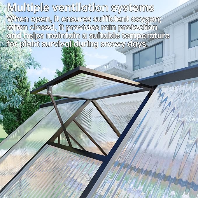 CQZY 6x8 FT Walk-in Greenhouse for Outside,Dark Gray
