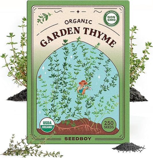 Organic Thyme Herb Seeds for Indoor Gardening or Planting Outdoors, Non-GMO and USDA Certified Herb Seed Packets, 250 Seeds/500 mg (Thyme)