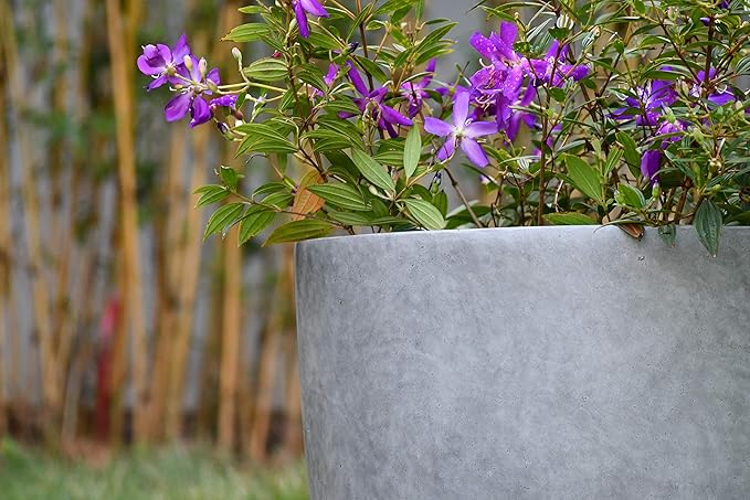 Kante 18 Inch Dia Round Concrete Planter, Indoor Outdoor Large Plant Pot with Drainage Hole and Rubber Plug for Home Patio Garden, Natural Concrete