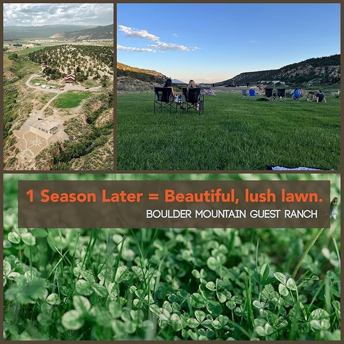 Micro Clover Seeds for Lawn - Microclover Seed for Planting - 4 oz. ~100,000 Seeds - Drought-Tolerant Mini Clover Seed - Grass Alternative Miniclover Seeds for Lawn - by Mountain Valley Seed Company…