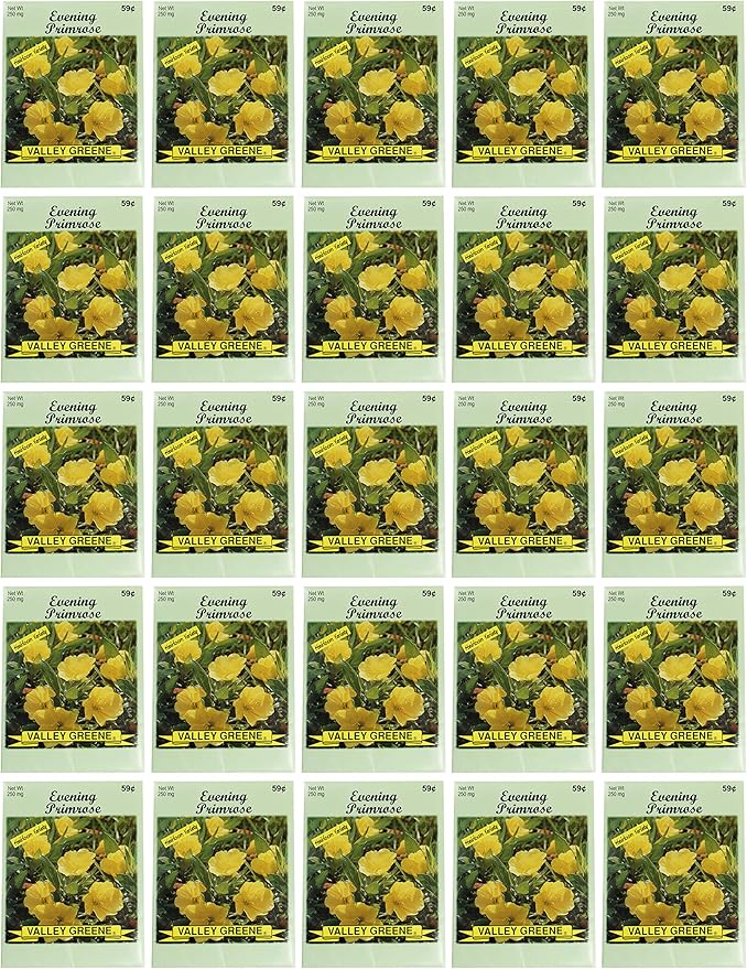 Black Duck Brand Set of 25 Evening Primrose Flower Seed Packets! Flower Seeds in Bulk - Great for Creating The Garden of Your Dreams! (25, Evening Primrose)