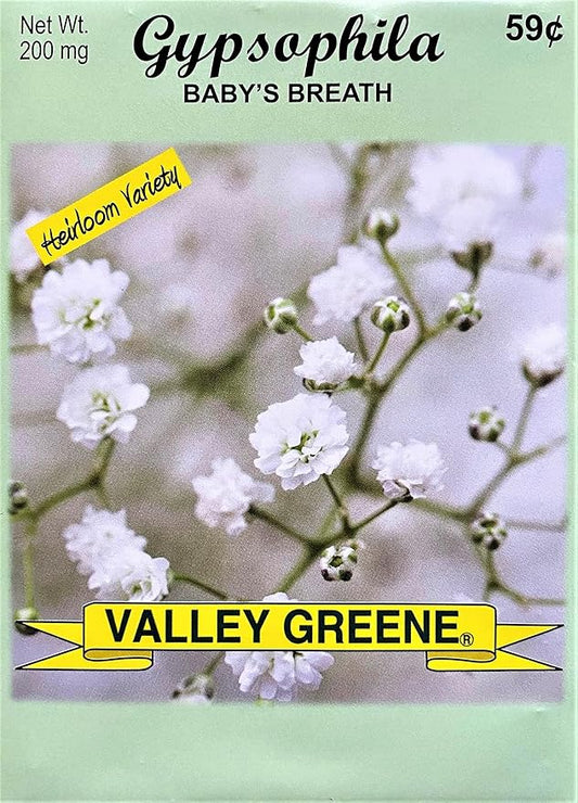 Set of Flower Seed Packets! Flower Seeds in Bulk - Great for Creating The Garden of Your Dreams! (100, Gypsophila - Baby's Breath)