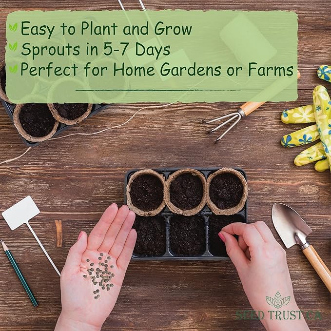 Malabar Spinach Seeds β 100+ Non-GMO, High-Yielding Malabar Variety Heirloom Seeds β High Germination Rate, Easy to Grow, Nutritious Tropical Leafy Green β USA (Malabar)