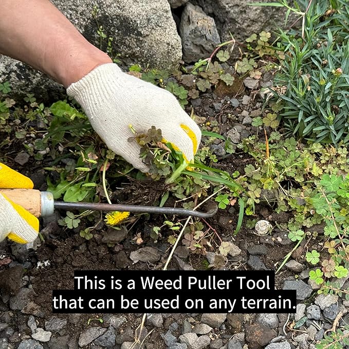 Korean Weed Puller Tool,Root Removal,Garden Weeder for Lawn&Flower Bed Maintenance,Portable Garden Weeder Tool,For Hand Weeder Puller for Vegetable Gardening Backyard Farm Planting Weeding Tool