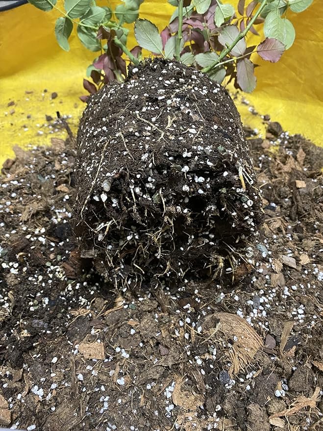 Voulosimi Horticultural Organic Perlite Soil Amendment for Plants and Enhanced Drainage Enhanced,Indoor & Outdoo (15QT, 3/4 inch)
