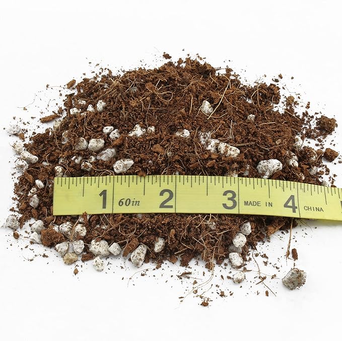 Terrarium Potting Soil Mix (4 Quarts), w/Blended Filtering Charcoal Custom Made for Terrariums