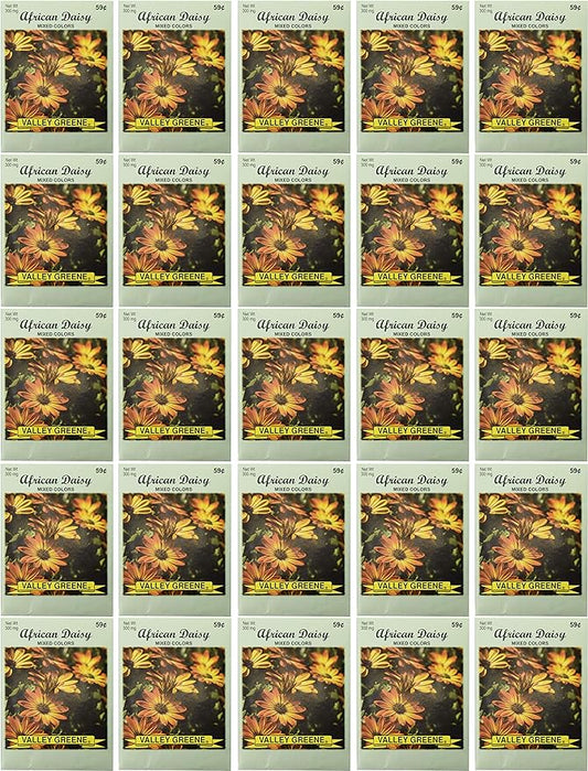 Black Duck Brand Set of 25 African Daisy Flower Seed Packets! Flower Seeds in Bulk - Great for Creating The Garden of Your Dreams! (25, African Daisy)