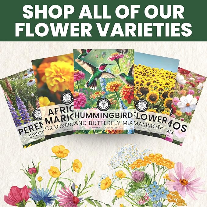 Zinnia California Giants - Large 1 Ounce Packet - 3,000 Flower Seeds for Planting - Zinnia elegans