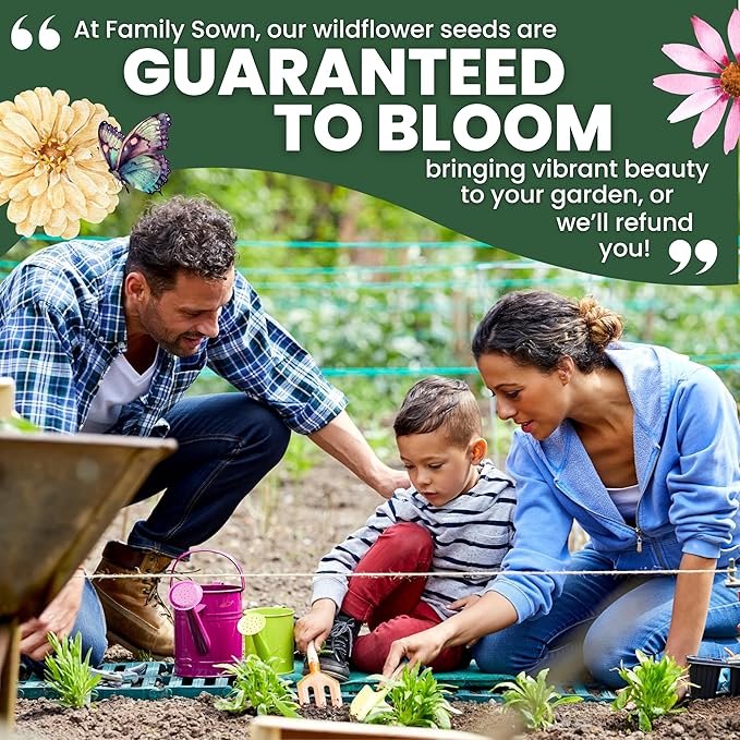 Zinnia California Giants - Large 1 Ounce Packet - 3,000 Flower Seeds for Planting - Zinnia elegans