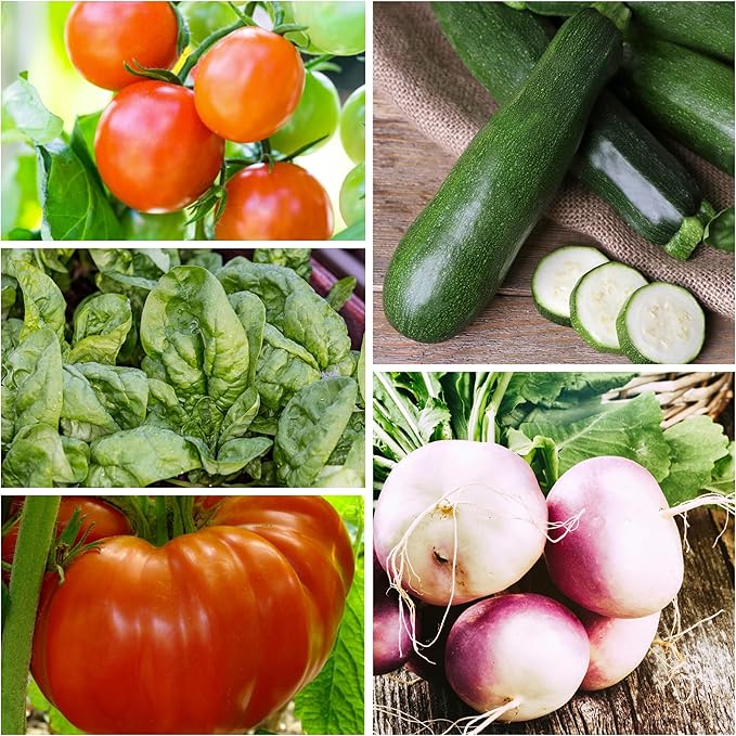 Seed Needs, Vegetable Seed Packet Collection Variety Pack (15 Varieties of Heirloom Vegetable Seeds for Planting) Organically Grow Your Own Produce