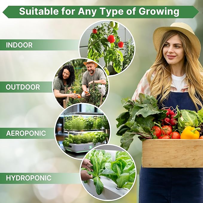 Fennel Florence Seeds Pack 1.25 G - Over 360 Non-GMO Heirloom Fennel Seeds for Planting Herbs in Individual Seed Packet, Herbs Seeds for Planting Home Garden Indoor & Outdoor Gardening