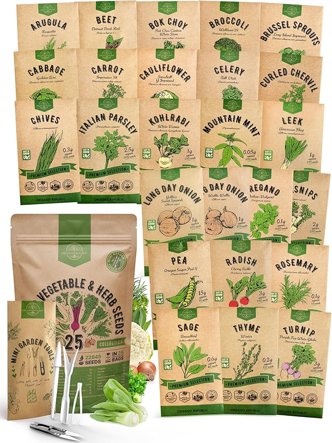 Organo Republic 25 Winter Vegetable & Herb Garden Seeds Variety Pack for Outdoors & Indoor Home Gardening 5000+ Non-GMO Heirloom Seeds Broccoli Beet Carrot Cabbage Radish Pea Mint Thyme Parsley
