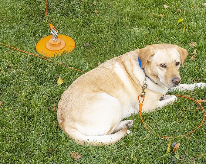 30FT Tie-Out Cables for Dogs - Strong, Safe, and Durable Dog Tie-Outs for Small Dogs up to 35 Pounds - Weather and Wear Resistant Galvanized Aircraft Cable for Outside Use