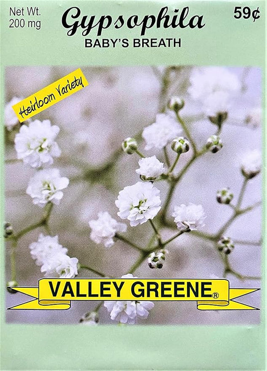Set of Flower Seed Packets! Flower Seeds in Bulk - Great for Creating The Garden of Your Dreams! (200, Gypsophila - Baby's Breath)