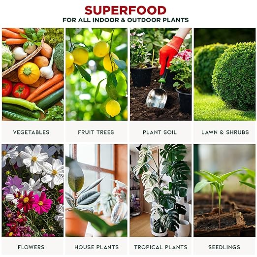 Natural Liquid Seaweed Premium Concentrate - 16 oz - Organic Plant Superfood for Gardening - Kelp Extract for Gardens, Lawns, Plants & Soil