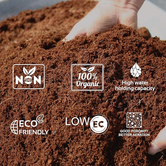 2 Pack Premium Coco Coir Brick for Plants | 100% Organic Compressed Coconut Coir Bricks Starting Mix, Coco Coir Fiber Coconut Husk for Planting, Gardening, Potting Soil Substrate, Herbs, 1.4 LB/Brick
