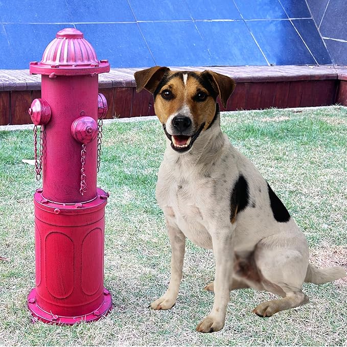 Dog Fire Hydrant Pee Post, 22.4" H Fake Fire Hydrant for Dogs to Pee on, Red Metal Dog Pee Post for Training Tool, Puppy Pee Pole for Dogs Indoor Outdoor Garden Yard Statue