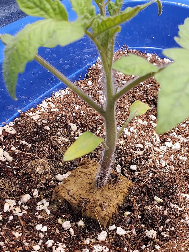 25QT Organic Perlite Horticultural Soil Amendment for Plants and Enhanced Drainage Enhanced