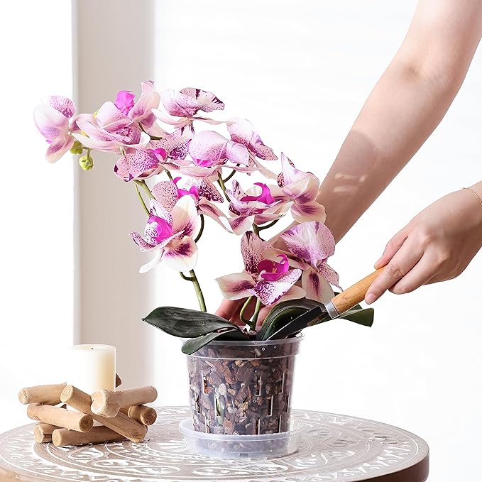 TRUEDAYS 4 Pack Orchid Pot with Saucers Garden Pot 5 Inch Clear Plastic Plant Pots with Drainage Holes for Indoor Outdoor Plants