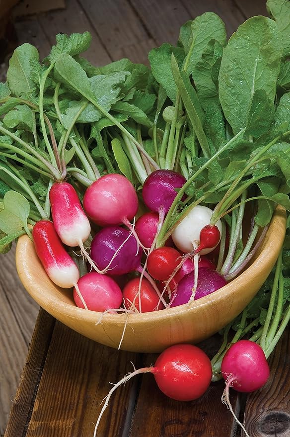 Burpee Cook's Custom Blend Radish Seeds 575 seeds