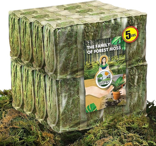 DUSPRO Big Bag Dried Forest Moss for Plant Propagation Sphagnum Moss Bulk for Orchid Repotting Mix Organic Soil Medium Bale Premium Hand Selected (5 LBS)