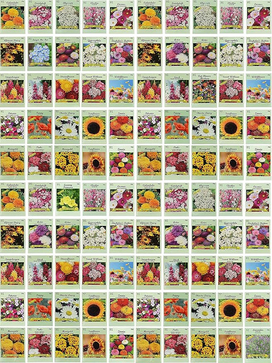 Set of 100 Assorted Valley Green Flower Seed Packets! Flower Seeds in Bulk - 20+ Varieties Included