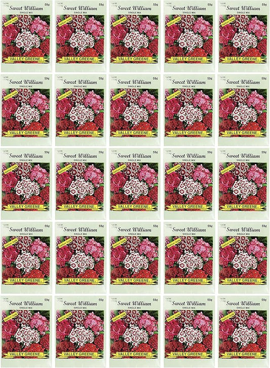 Black Duck Brand Set of 25 Sweet William Single Mix Flower Seed Packets! Flower Seeds in Bulk - Great for Creating The Garden of Your Dreams! (25, Sweet William - Single Mix)