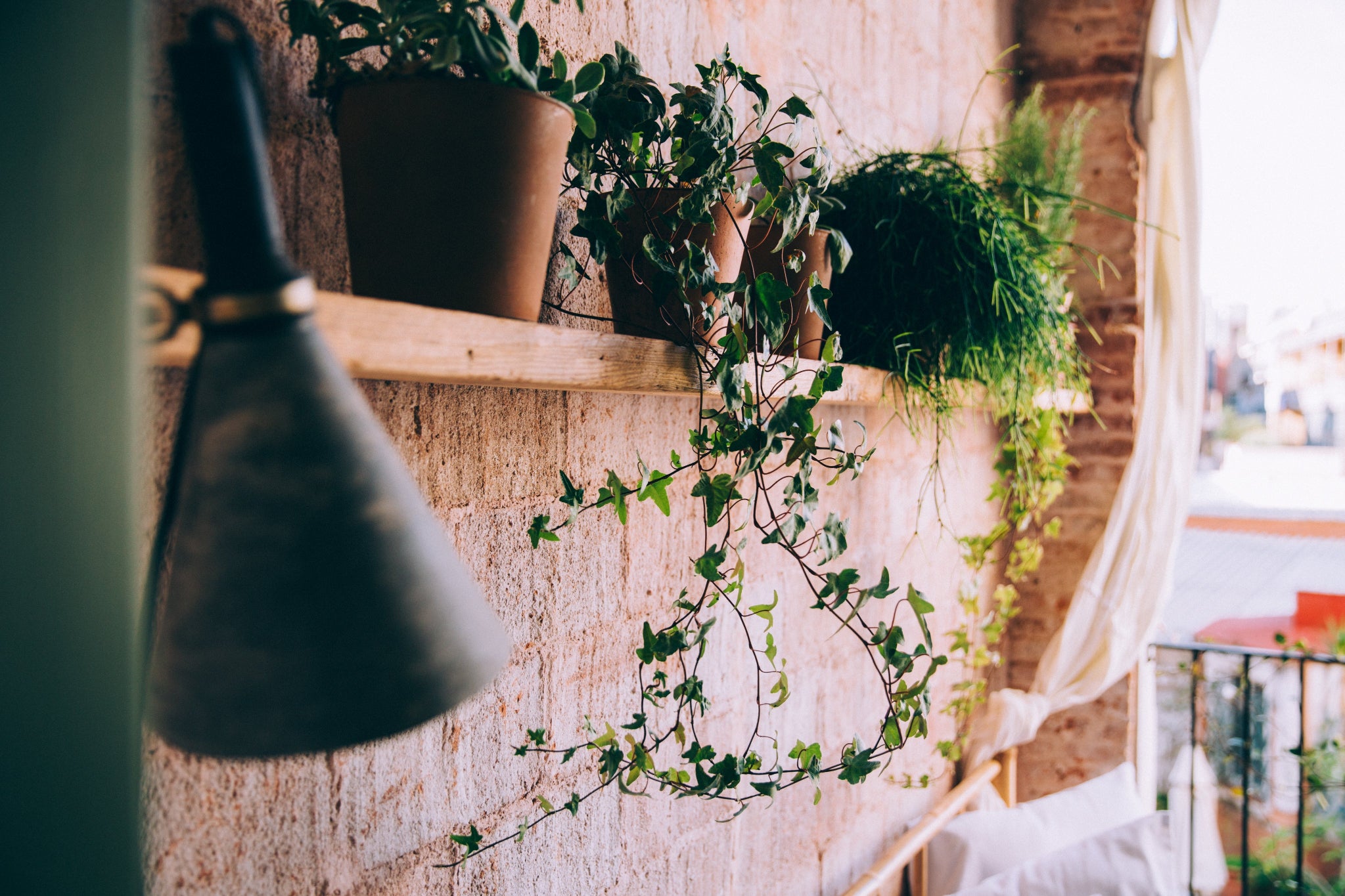 plant pots yard work vine
